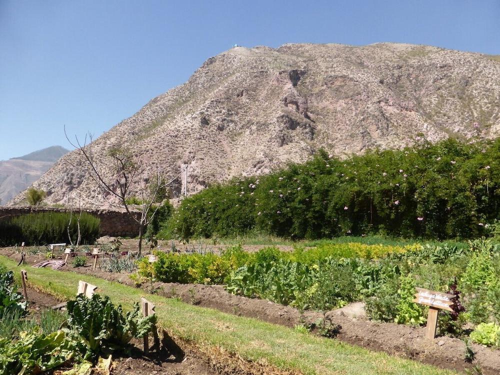 Hotel La Casona De Yucay Valle Sagrado ウルバンバ エクステリア 写真
